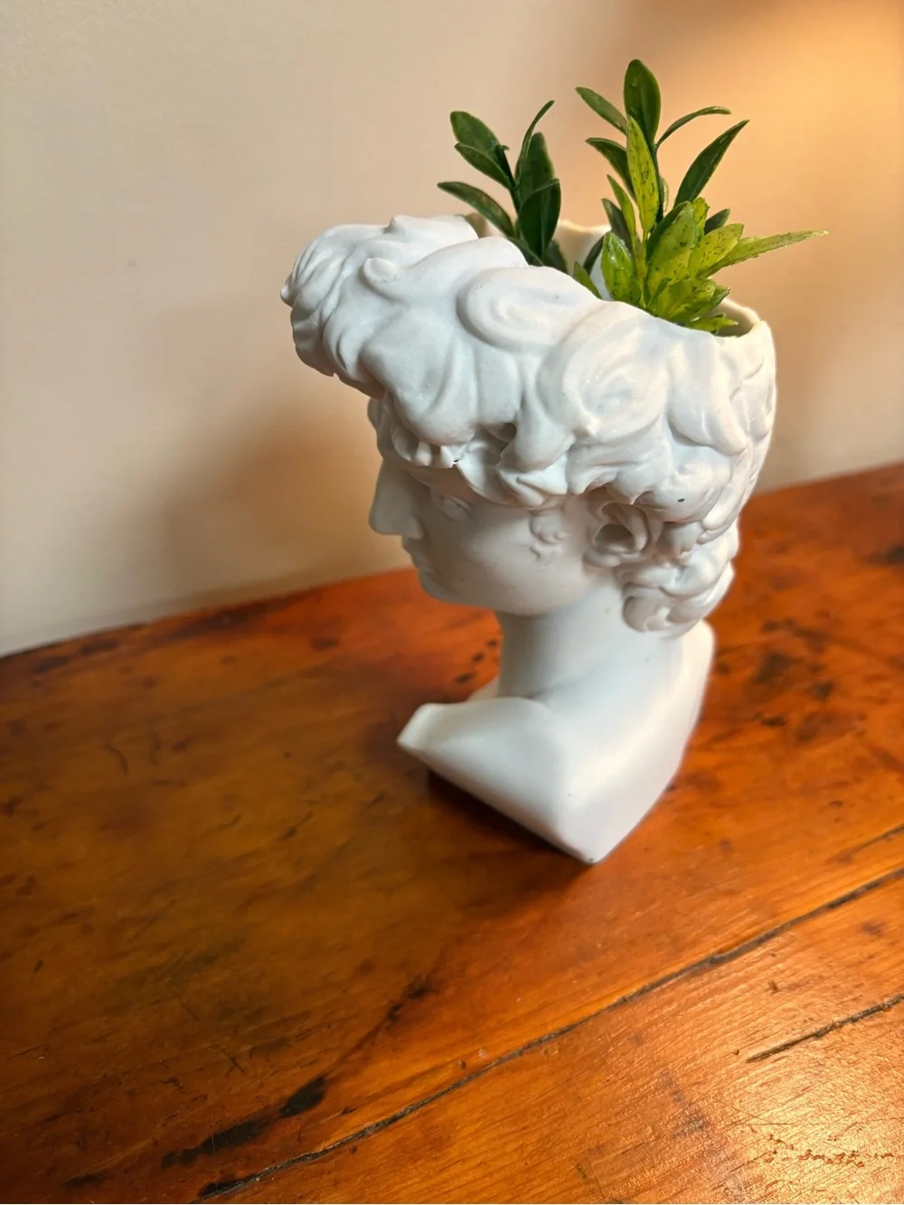 White Sculpted Bust Planter - Decorative David Head Vase